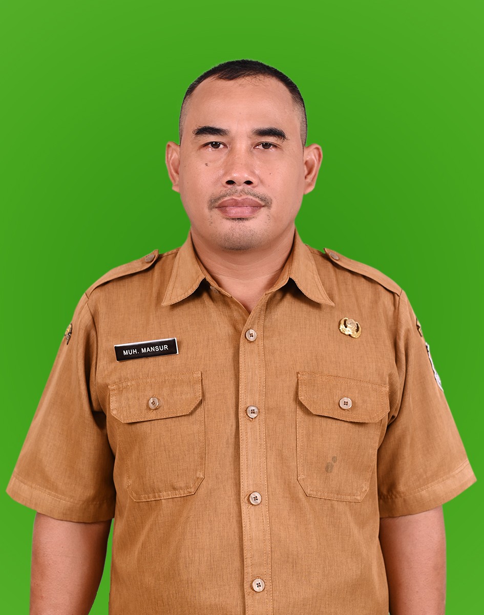 MUH MANSUR